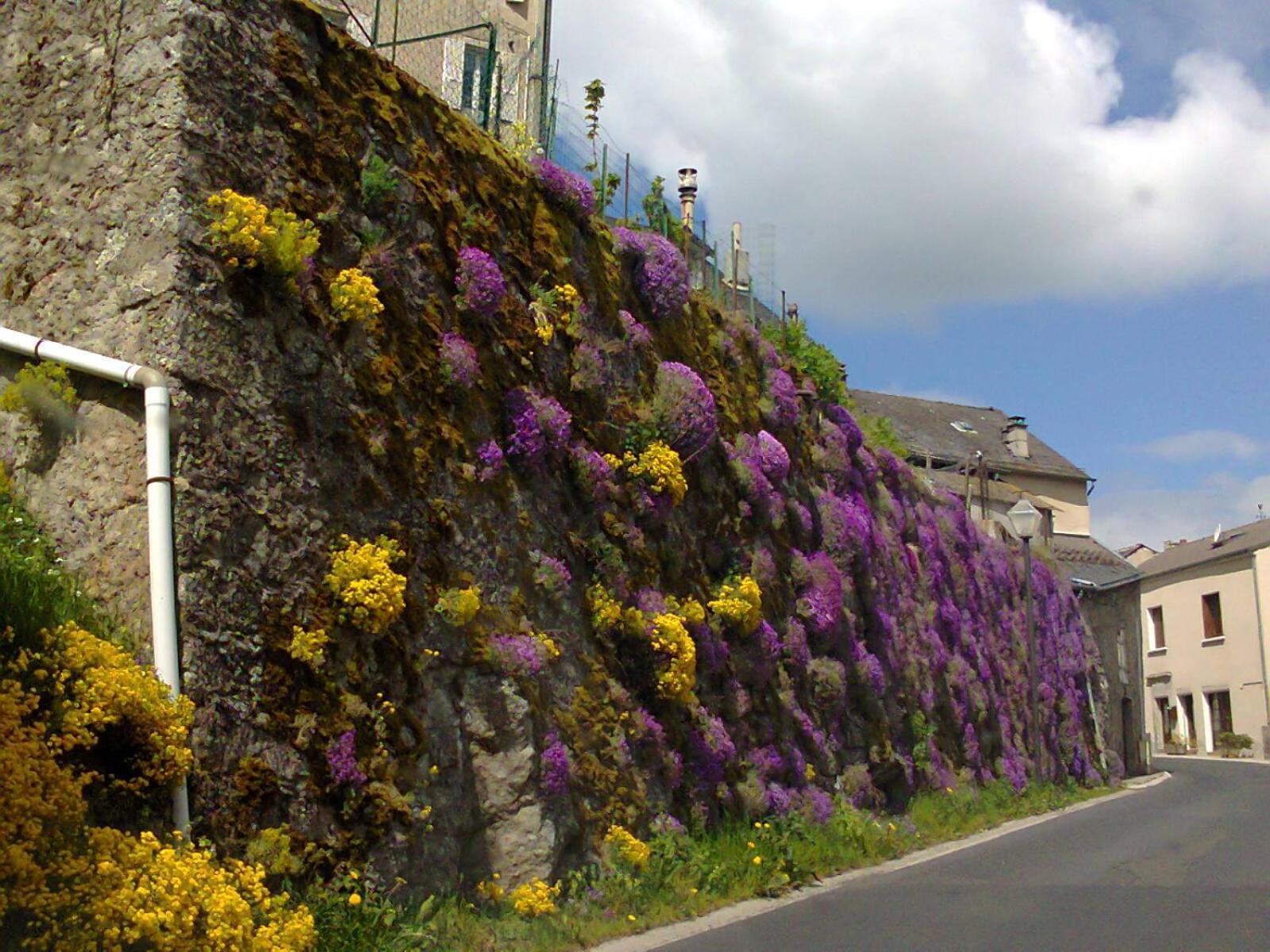 Le Chalet Du Roc La Panouse  部屋 写真